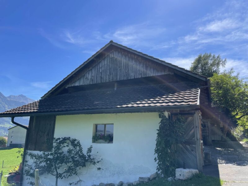 Vorher 1