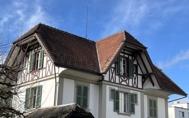 Vorher 1